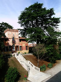 Villa Barbarella